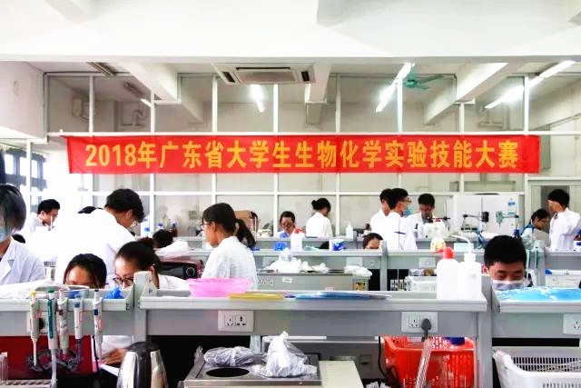 日韩无码
学生荣获广东省生物化学实验技能大赛二等奖02.jpg